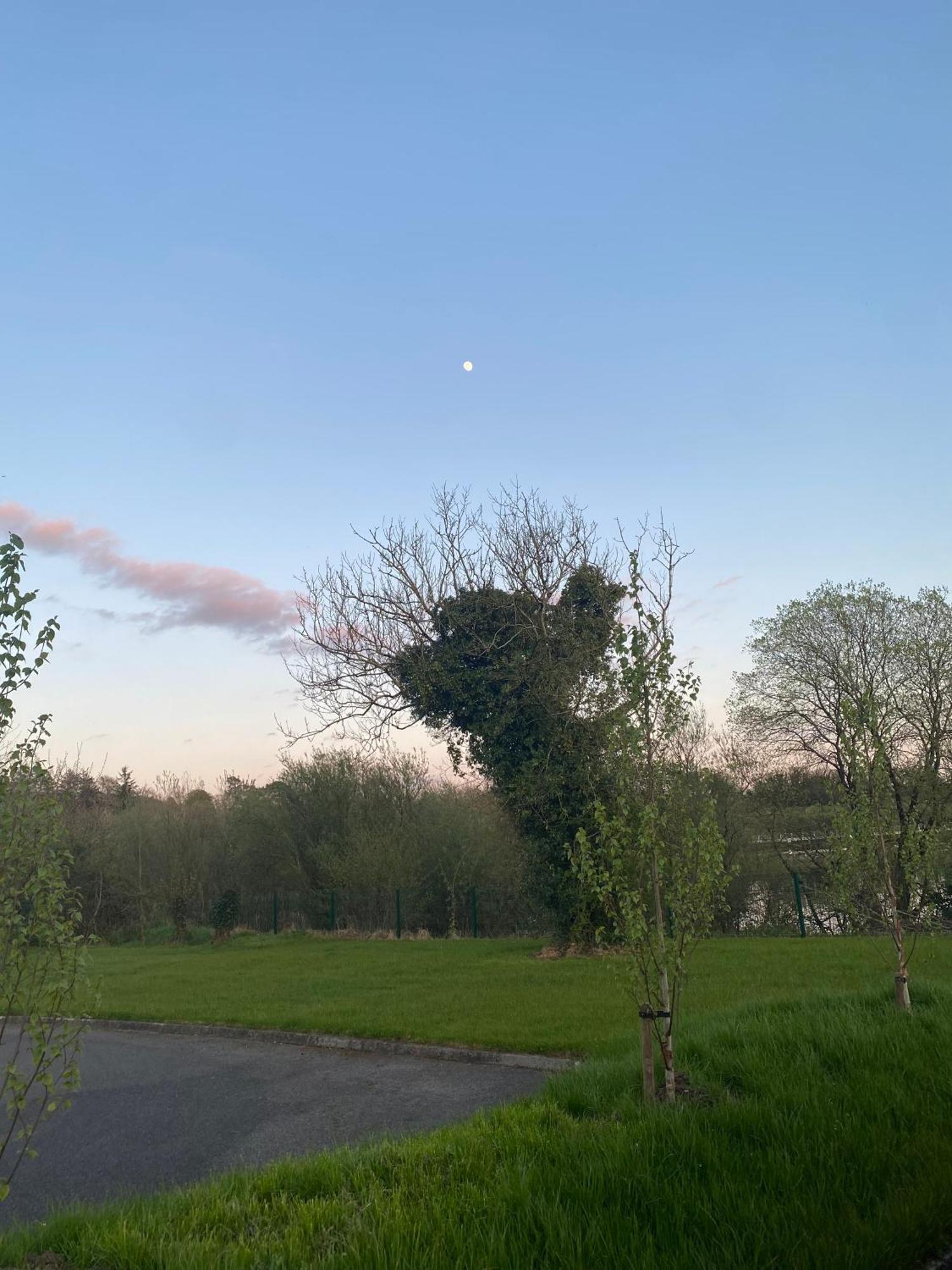 Killyfole Lakeside Lodges Corranny Exterior photo